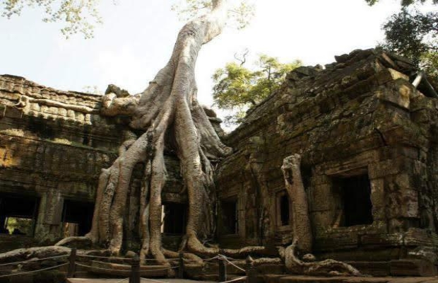 Ta Phrom Temple, Siem reap cycling tour